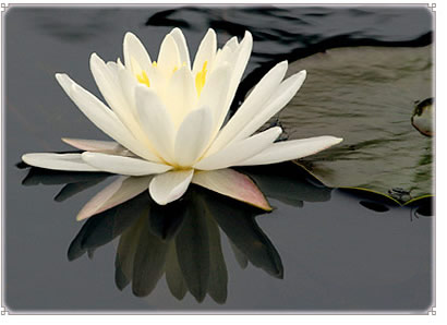 The Healing Power of  Self-Forgiveness