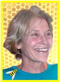 The Beehive Effect: Healing & Spiritual Awakening through the Hive
