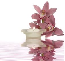 Healing Tools for Presence: Simple Strategies to Reclaim Health