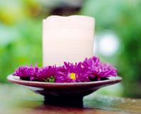 Calling All Practitioners! Promote Yourself in our Directory of Practitioners!