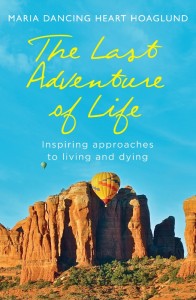 The Last Adventure of Life cover (523x800)