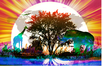Band of Life: Uplifting New Music for Our Planet
