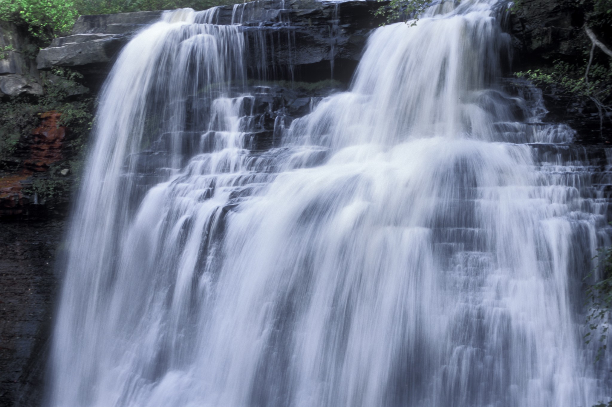 Celebrate Earth Day with the Healing Power of Nature