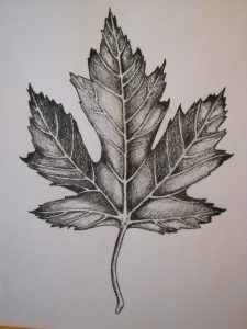 Peg, leaf
