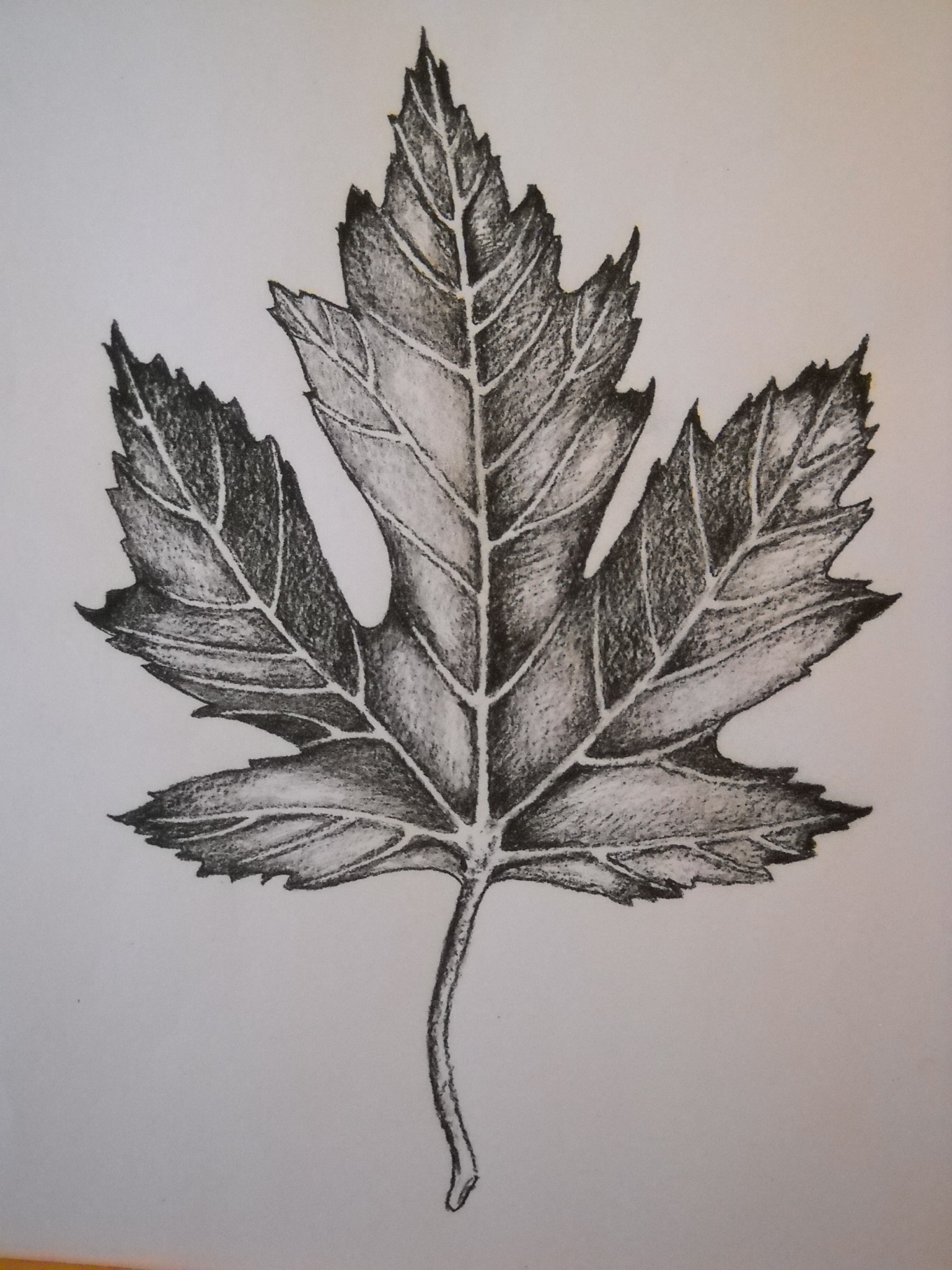 Drawing and Painting as a Meditative Practice