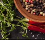 Committed? Call for Reservations at Aroma Cuisine of India