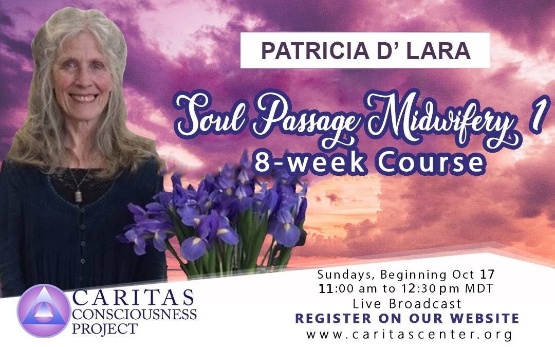 Soul Passage Midwifery 1 with Patricia L’Dara 8-week Course