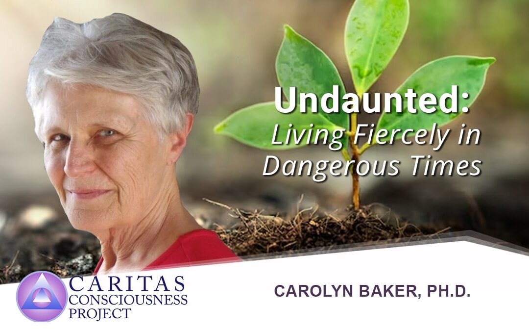 Undaunted: Living Fiercely in Dangerous Times with Carolyn Baker, Ph.D.