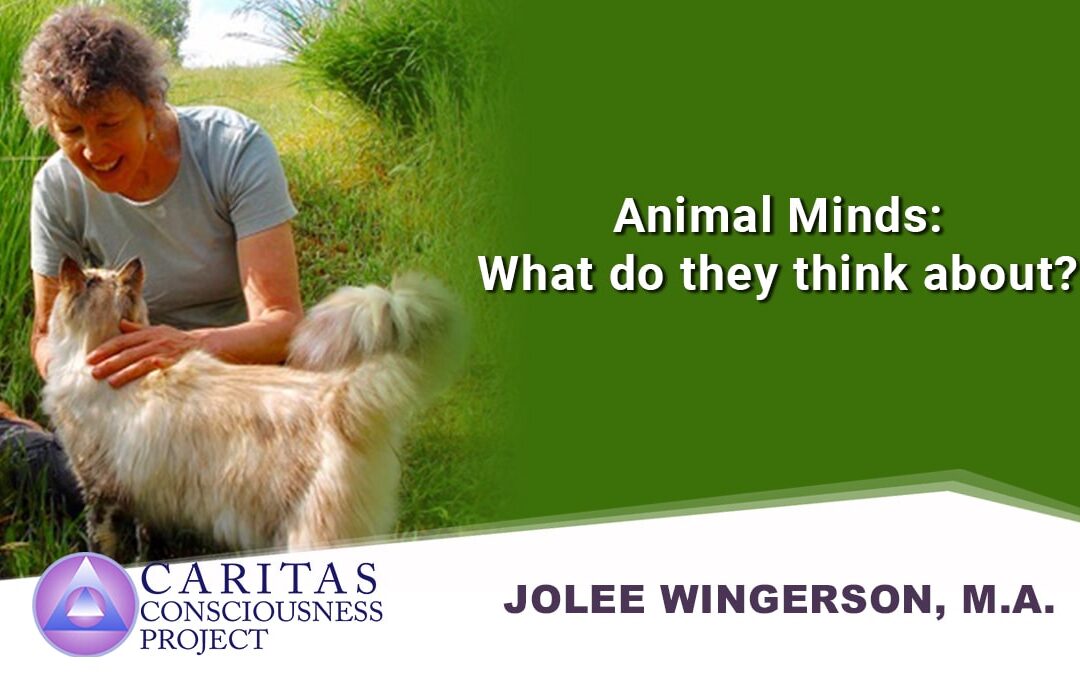 Animal Minds: What do they think about? with JoLee Wingerson, M.A.
