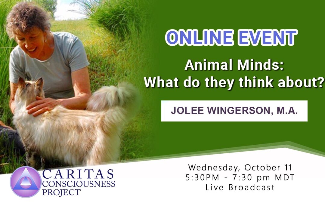 Oct 11   Animal Minds: What do they think about? with JoLee Wingerson, M.A.