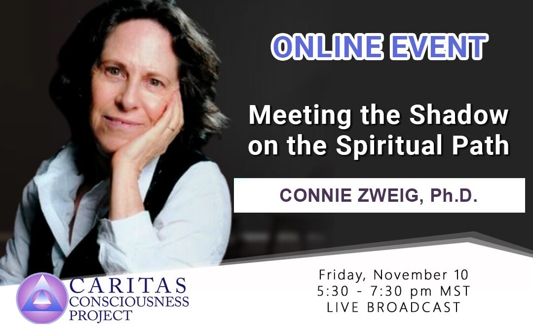 Nov 10  Meeting the Shadow on the Spiritual Path with Connie Zweig, Ph.D.