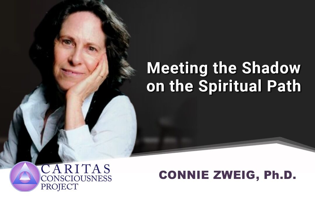 Meeting the Shadow on the Spiritual Path with Connie Zweig, Ph.D.
